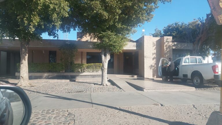 36463 notaria publica 31 768x432