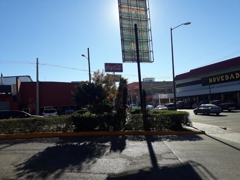 36491 lic. rodolfo moreno durazo 768x576