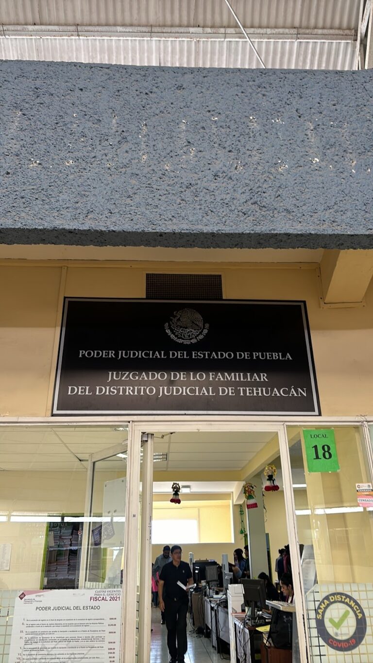 36903 abogado de tehuacan puebla 768x1365