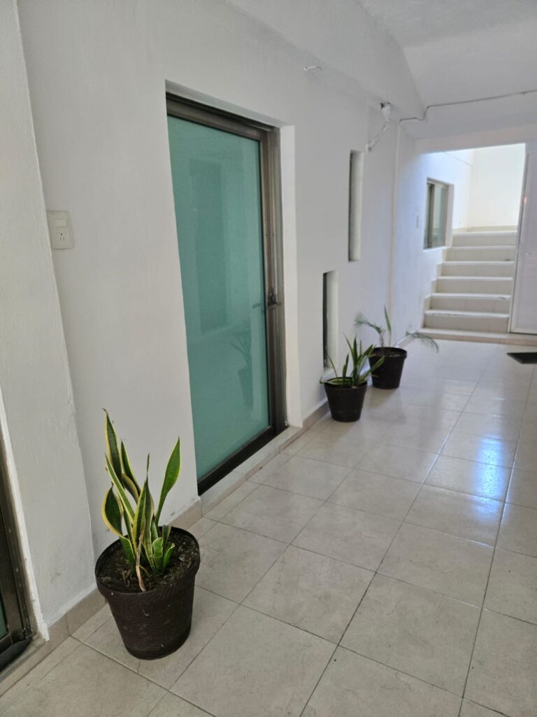 36910 anahi prieto graniel 768x1024