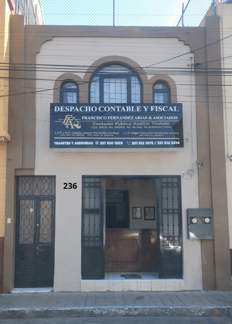 37281 fernandez arias francisco contadores publicos consultores 768x1073