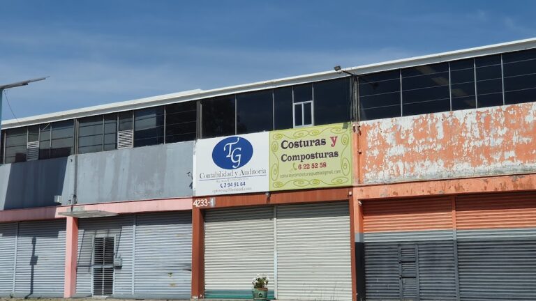 37348 tg contabilidad y auditoria 768x432