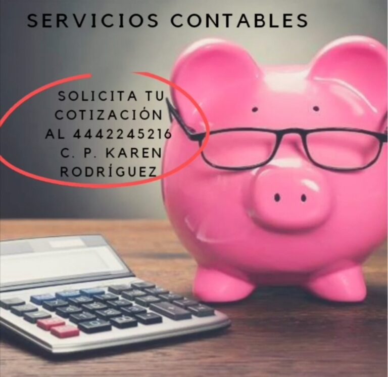 37377 contador publico karen rodriguez 768x745