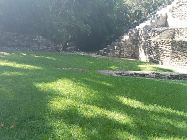 37608 armandotuviaje.com oficial y actual 768x576