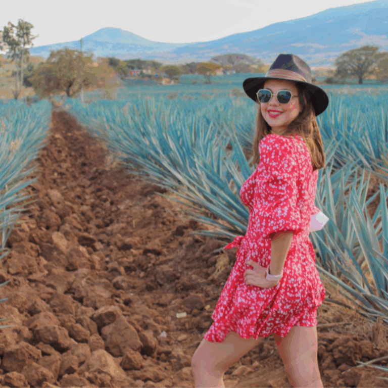 37660 agencia de viajes en guadalajara jalisco adventours 768x768