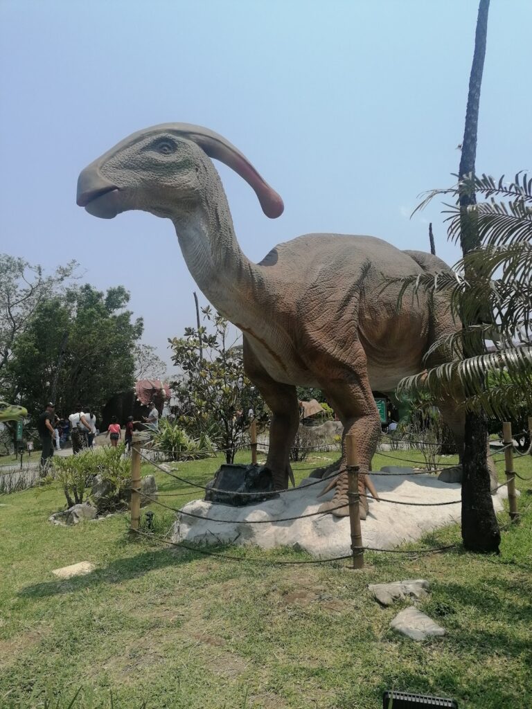 37800 vadhoo travels 768x1024