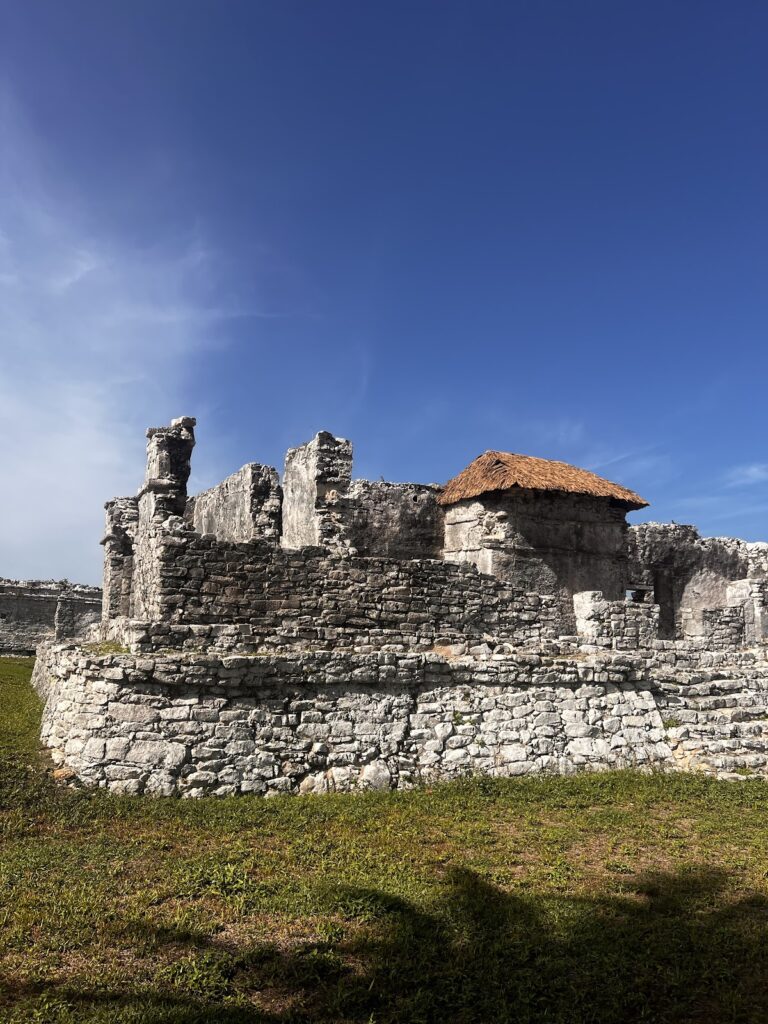 37869 mercanti viaggi 768x1024