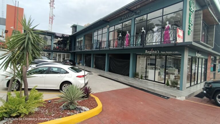 38072 agente gnp seguros 768x433