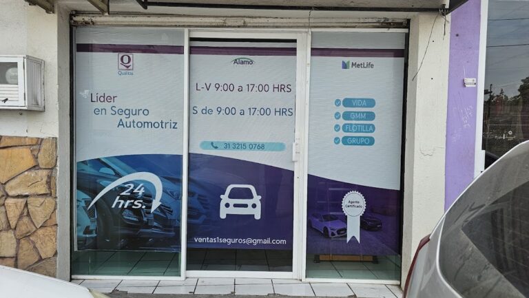 38120 agencia de seguros tecoman metlife qualitas 768x433