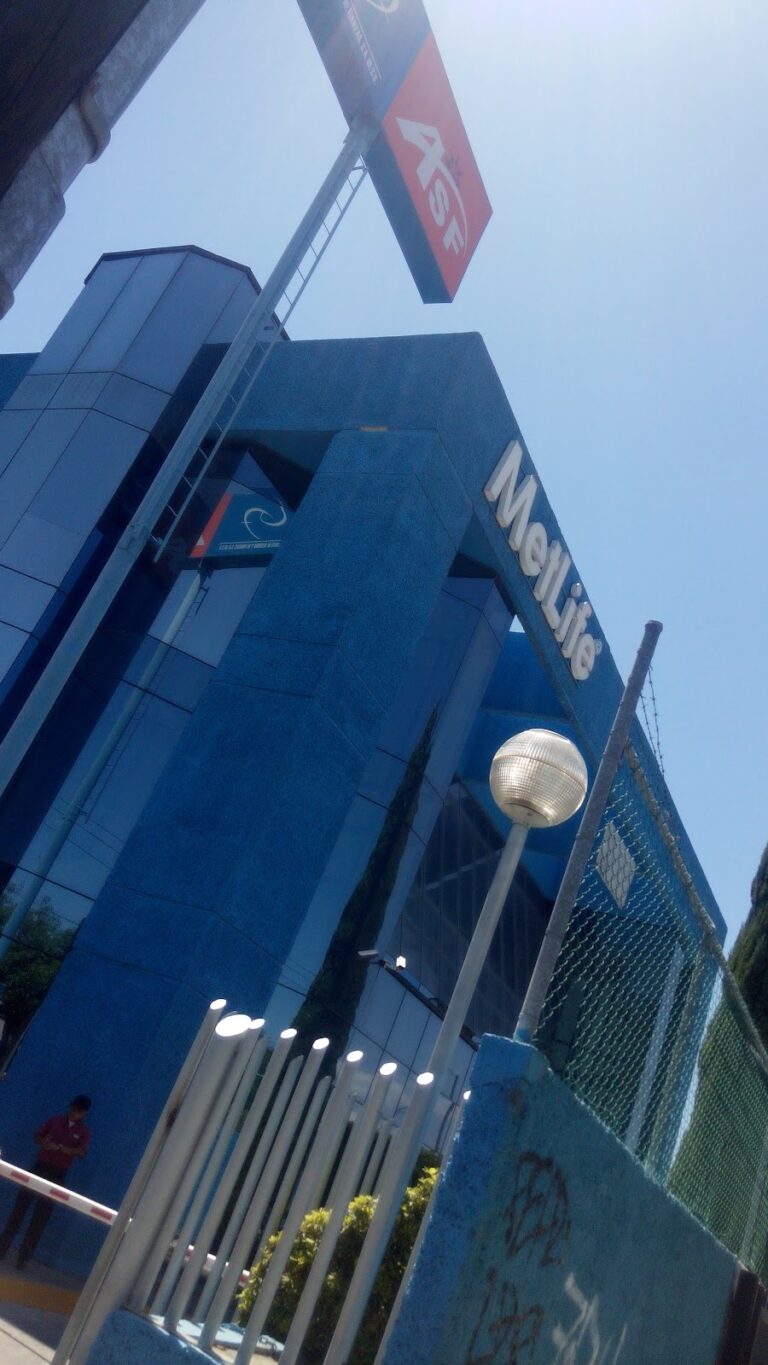 38137 metlife 768x1365