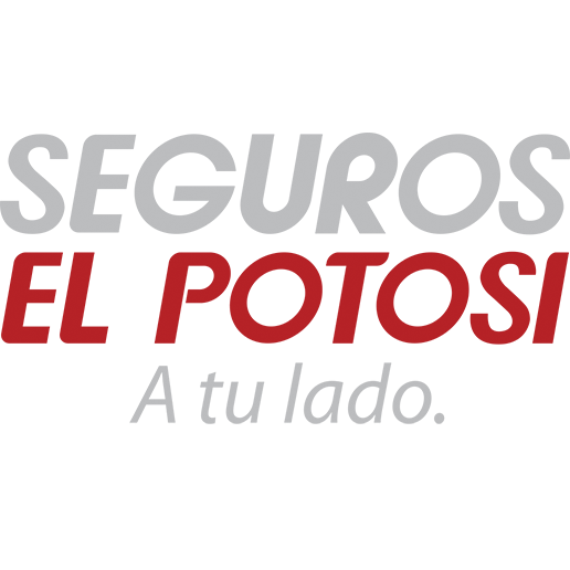 38139 seguros el potosi