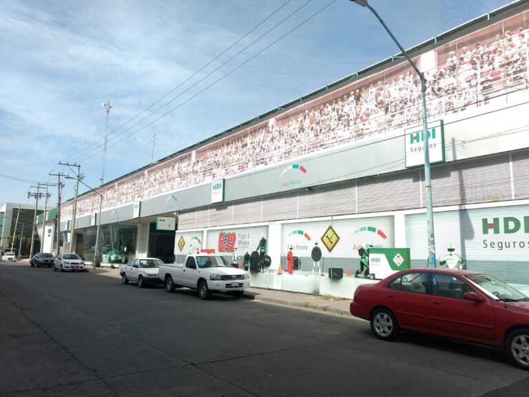 38159 hdi seguros leon 768x576