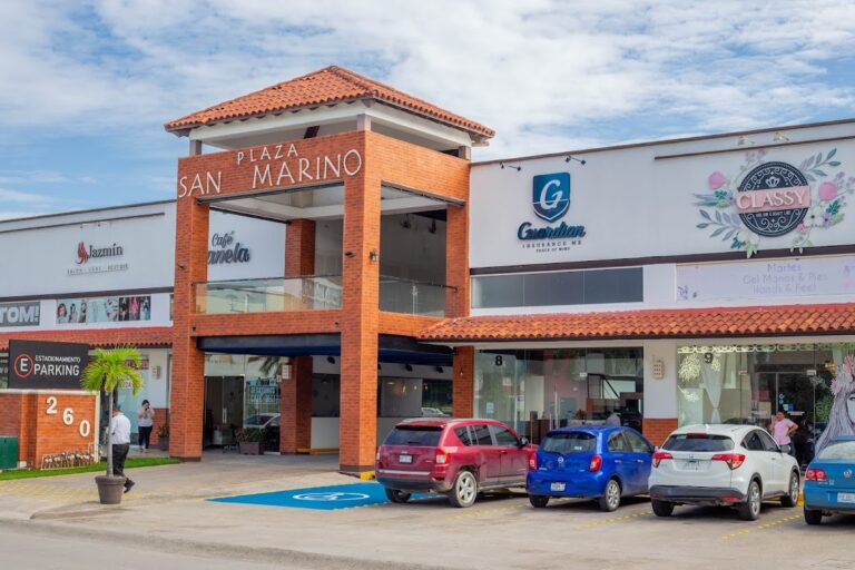 38183 guardian insurance mx 768x512