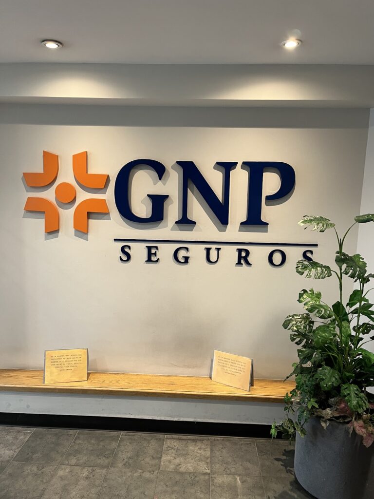 38194 gnp seguros pachuca 768x1024