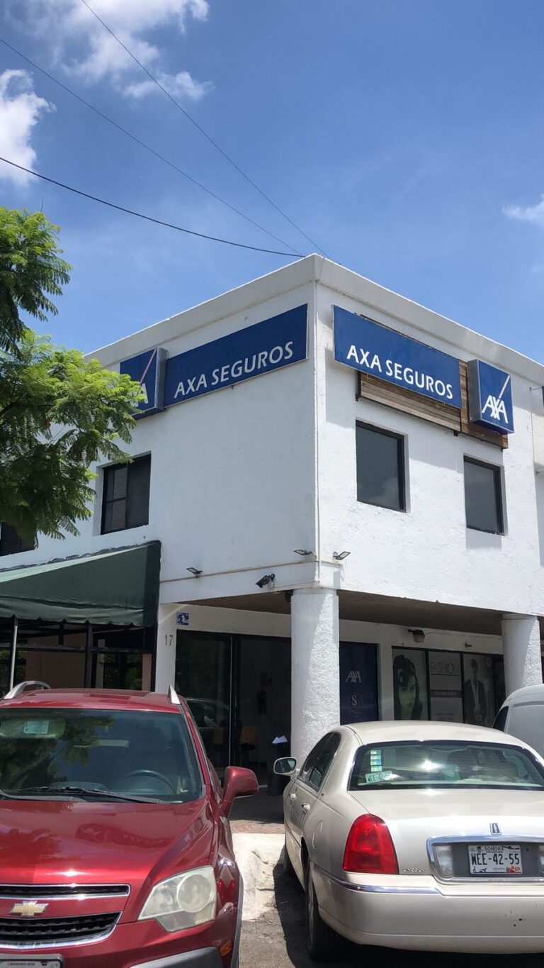 38320 seguros queretaro 768x1365