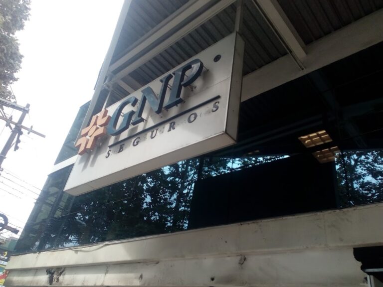 38465 gnp xalapa 768x576