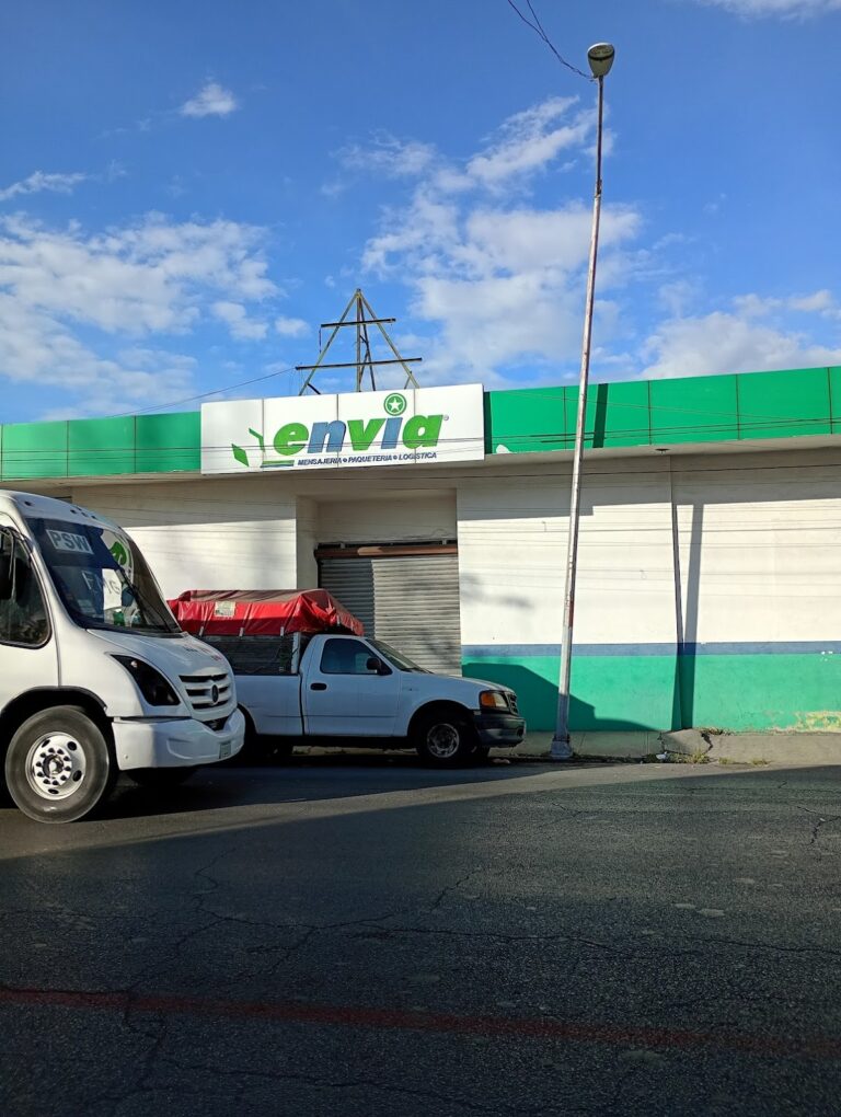 38564 paqueteria estrella blanca 768x1020