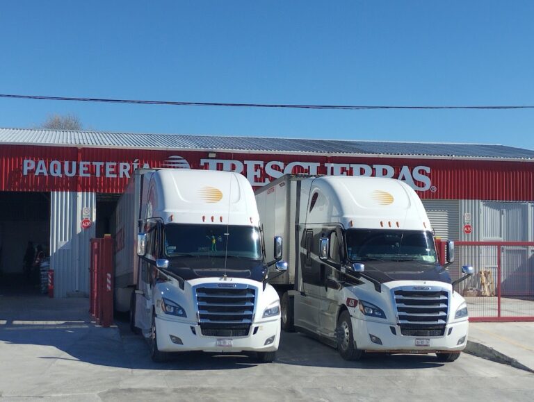 38589 paqueteria tresguerras piedras negras 768x579