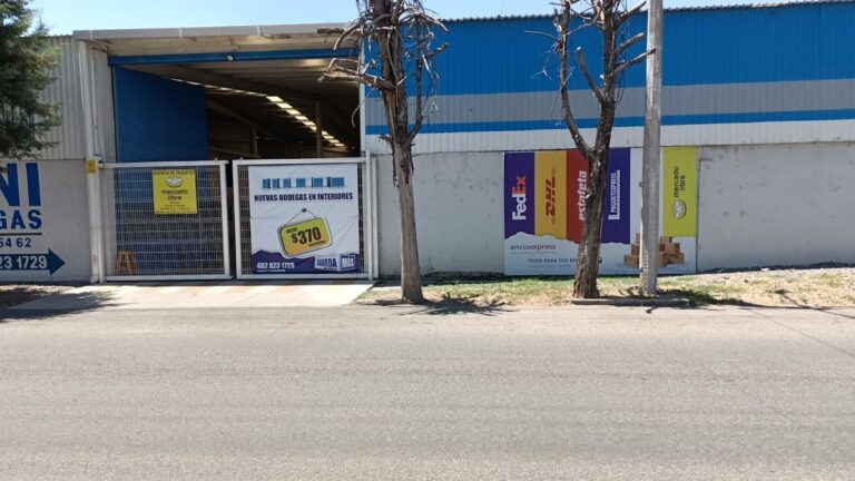 38637 envioexpress irapuato dhl fedex estafeta etc 768x432
