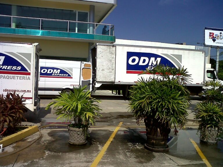 38677 mensajeria y paqueteria en toluca 768x576