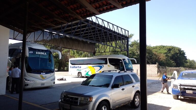 38691 sendex paqueteria puerto vallarta 768x432