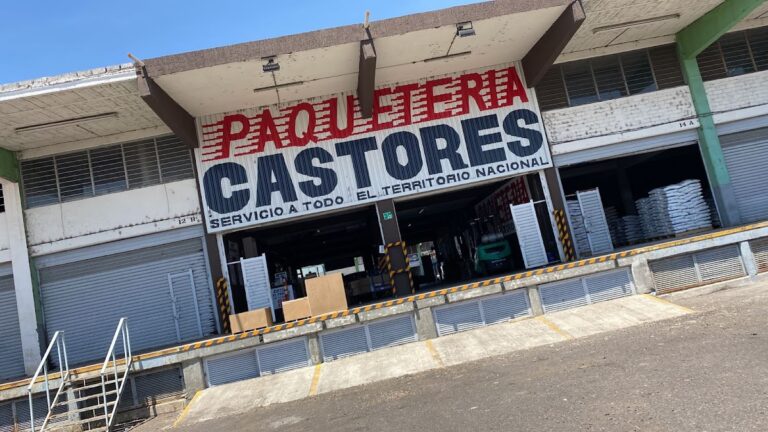 38711 paqueteria y mensajeria castores zamora 768x432