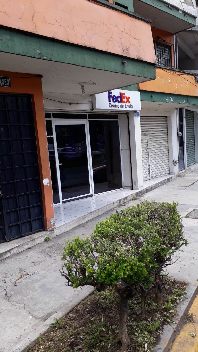 38919 fedex 768x1365