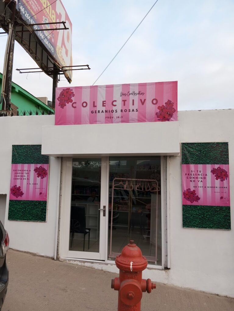 38987 colectivo geranios rosas 768x1020