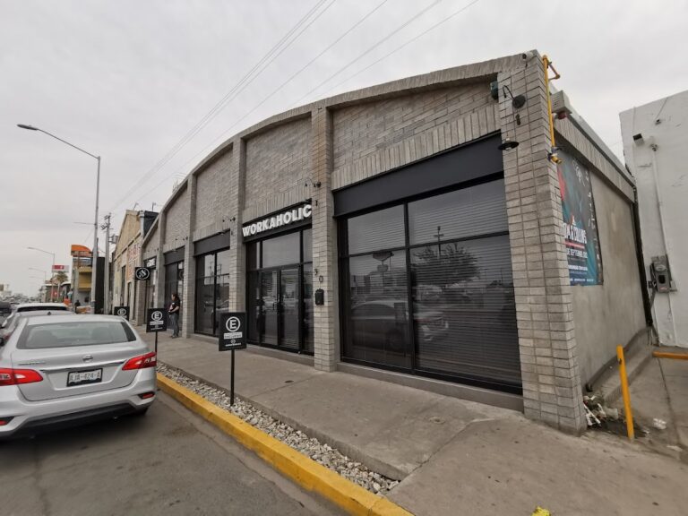 38995 workaholic 768x576