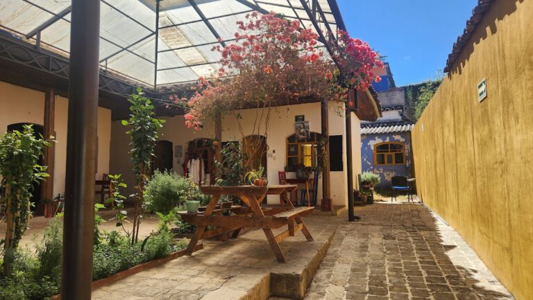 39479 la casa en el arbol instituto cultural 768x433