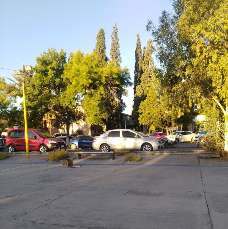 39498 centro de idiomas 768x772