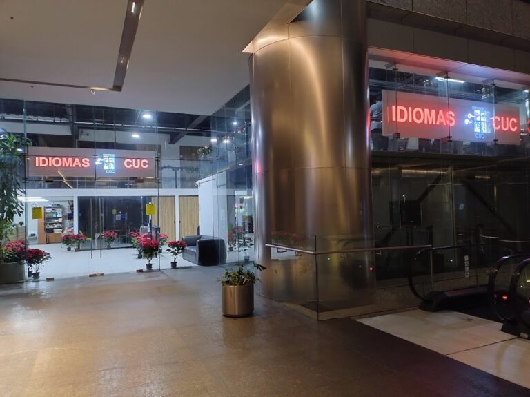 39558 idiomas cuc 768x575