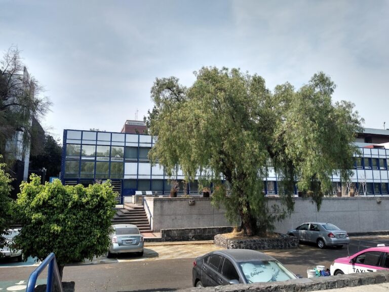 39571 escuela nacional de lenguas linguistica y traduccion unam 768x576