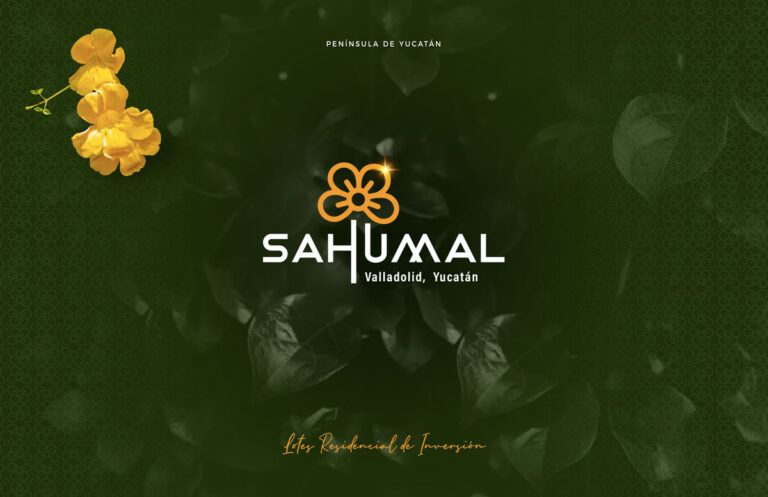 3973 sahumal valladolid 768x497