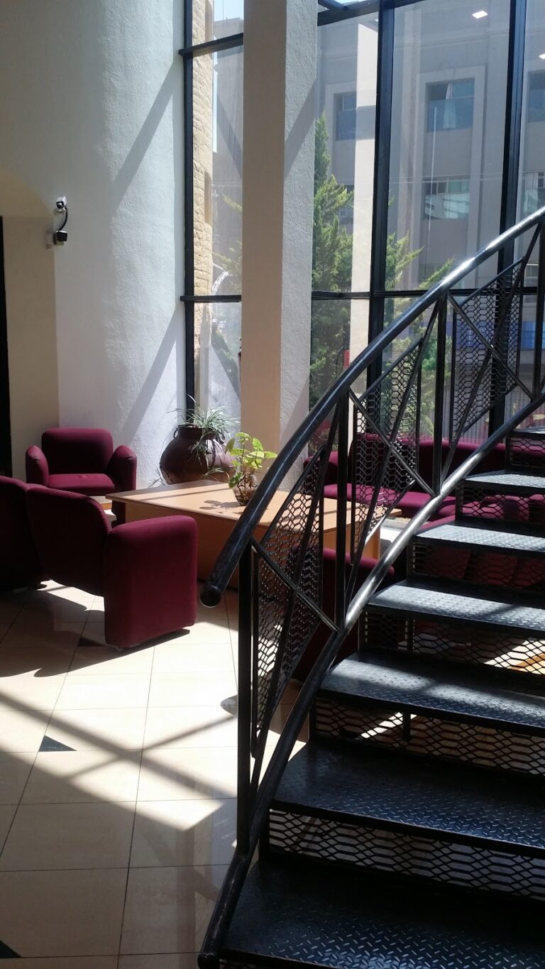 3975 grupo constructor plata s. a. de c. v 768x1365