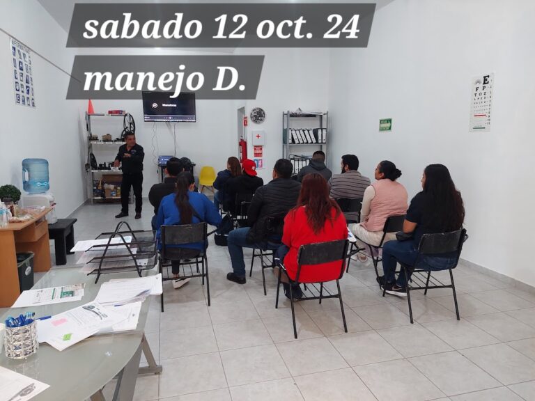 40048 escuela de manejo alex 768x576