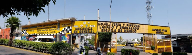 40134 ama morelos 768x221