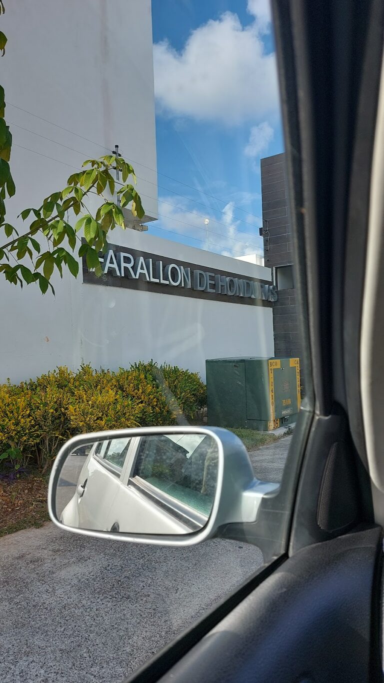 40177 escuela de manejo internacional playa del carmen 768x1365