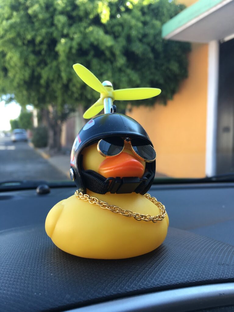 40200 kuchau escuela de manejo 768x1024