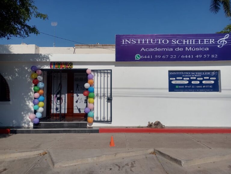 40676 instituto schiller 768x577