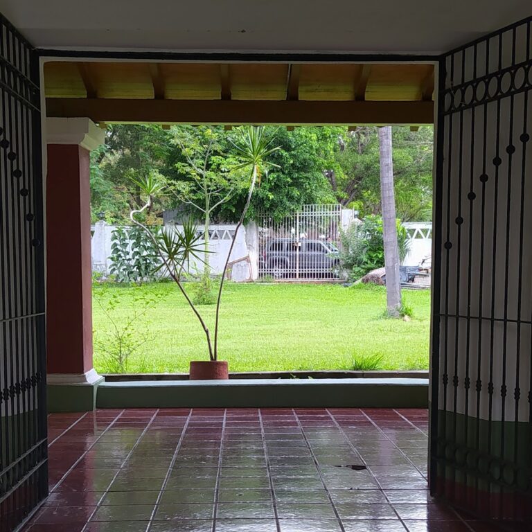 40886 escuela de artes visuales universidad de colima 768x768