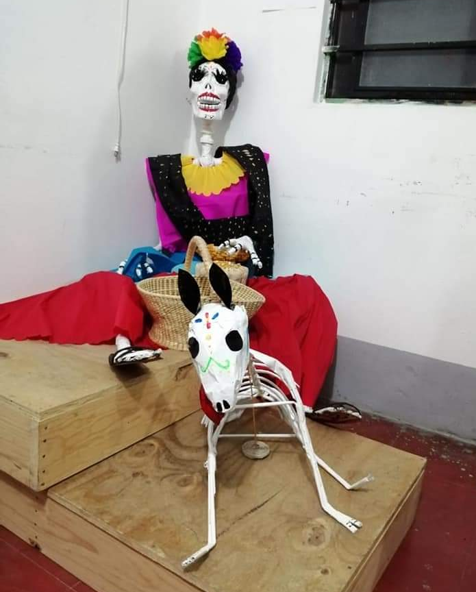 41007 instituto integral artistico