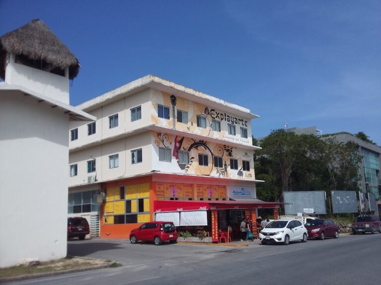 41096 explayarte 768x576