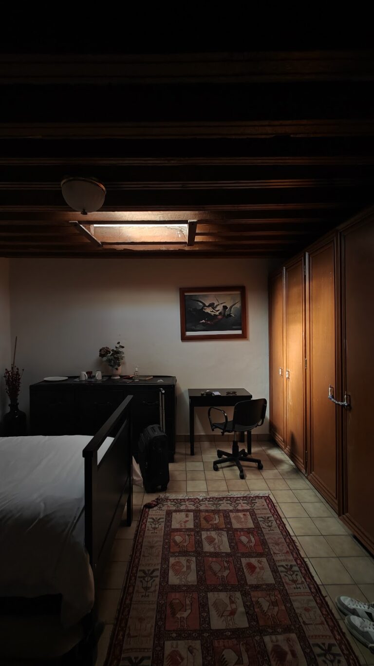 41106 la criba escuela de arte 768x1365