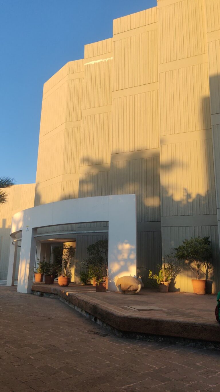 41123 escuela de artes jose limon 768x1365