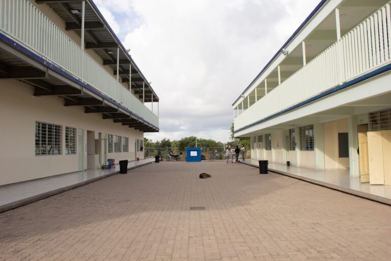 41157 unidad academica escuela de diseno y artes visuales uas 768x512