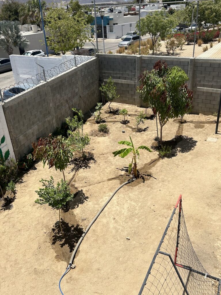 41284 primaria gap san jose del cabo 768x1024