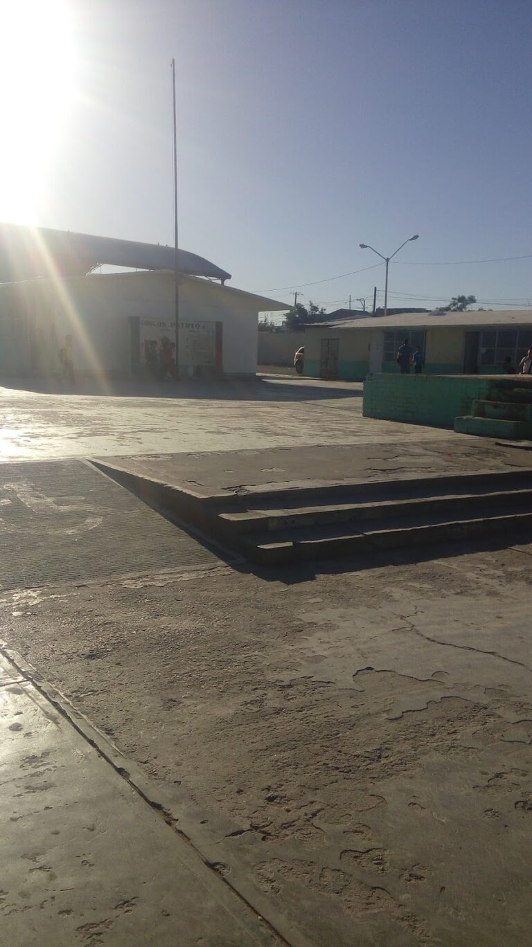 41293 escuela primaria revolucion mexicana no. 1 768x1368