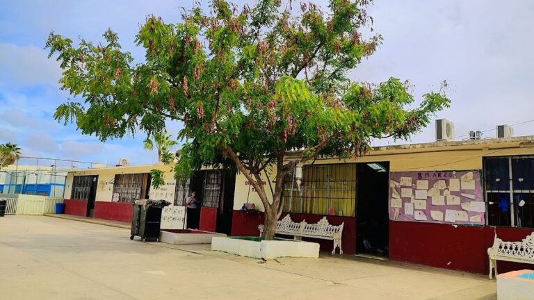 41318 primaria amelia wilkes 768x432