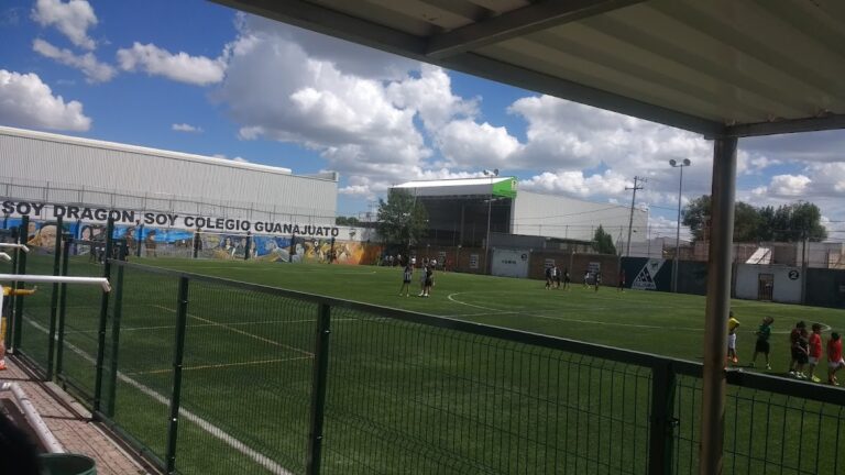 41366 colegio guanajuato 768x432